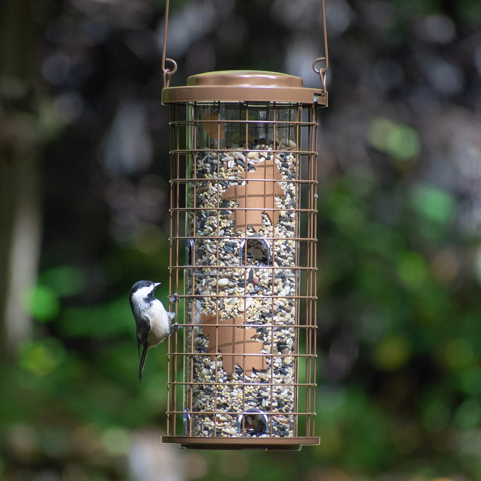 Perky-Pet Squirrel Stumper Wild Bird Feeder - Keep Squirrels No Size, Copper