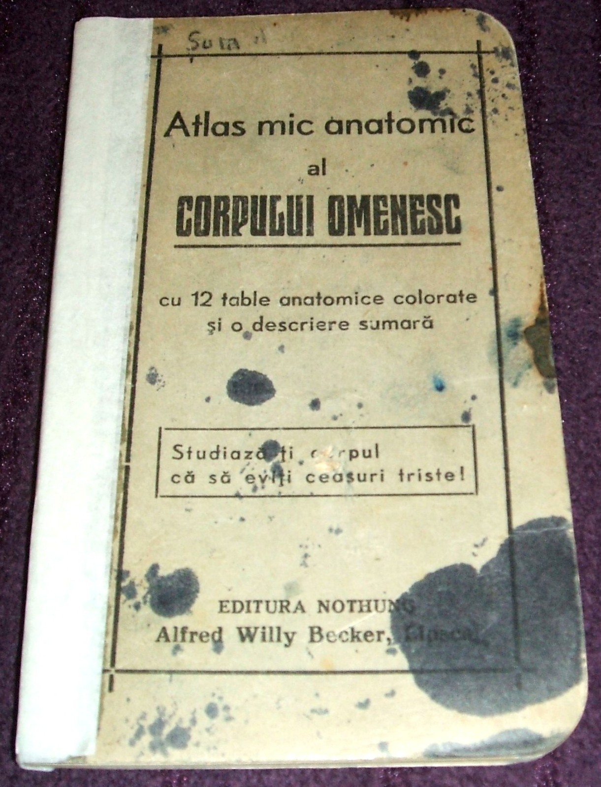 1900 Small Anatomical Atlas, Anatomy illustrated mini book, Human Body, medicine