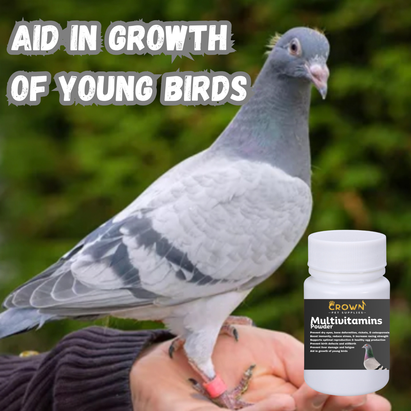 Multivitamins, Growth & Immunity, Prevent Eggs Failure, Strength For Pigeons