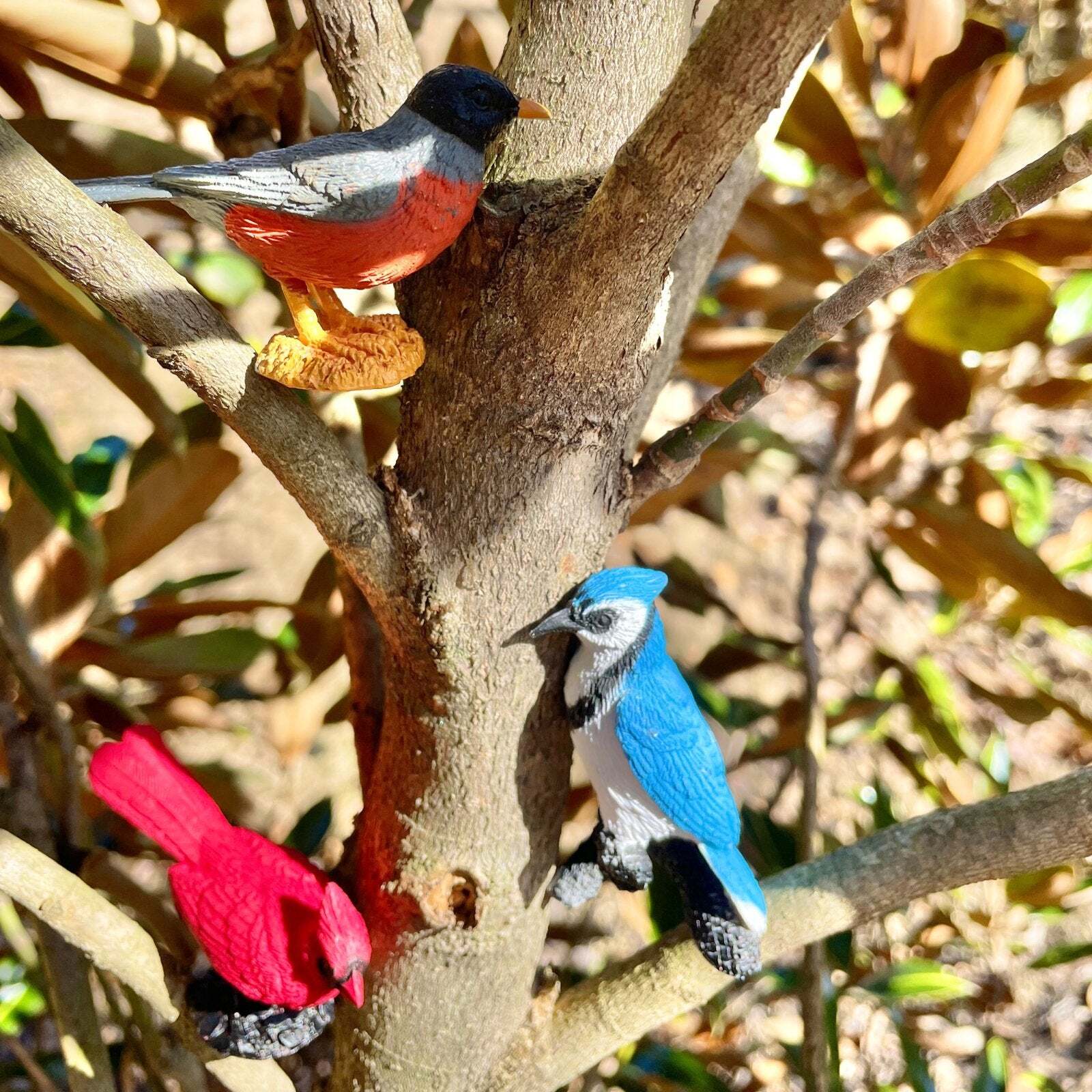 Safari Ltd Backyard Birds Toys TOOB® Miniature Toy Figurine Set for Kids