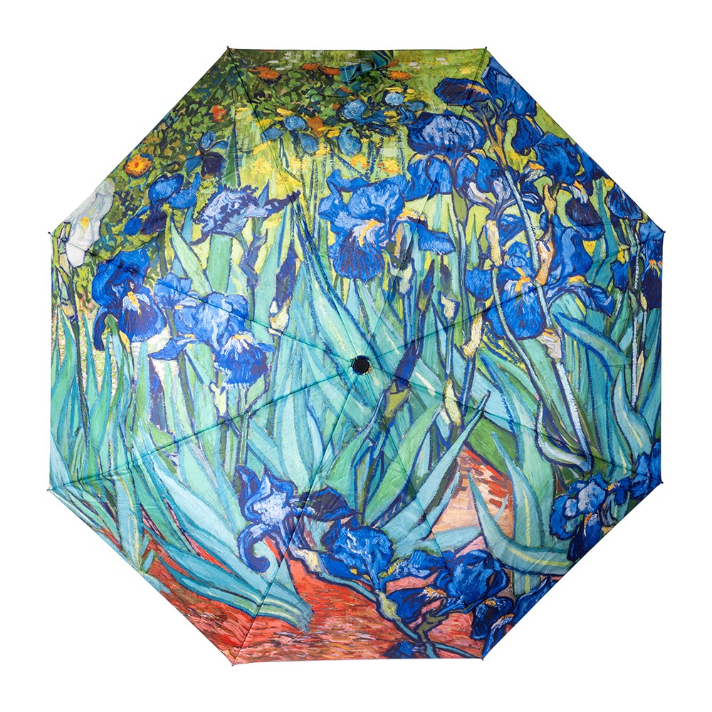 Clifton Auto Open Umbrella Iris