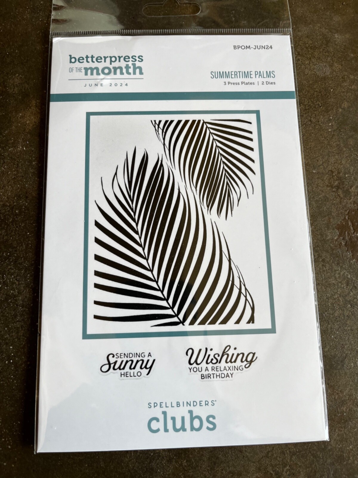 SPELLBINDER BETTERPRESS JUN24 SUMMERTIME PALMS