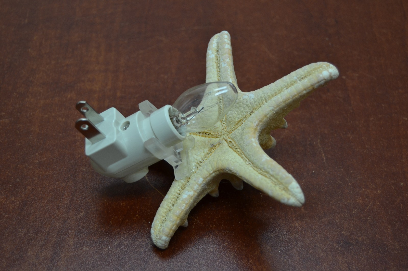 KNOBBY BUMPY STARFISH SEA SHELL NIGHT LIGHT KITCHEN #7767