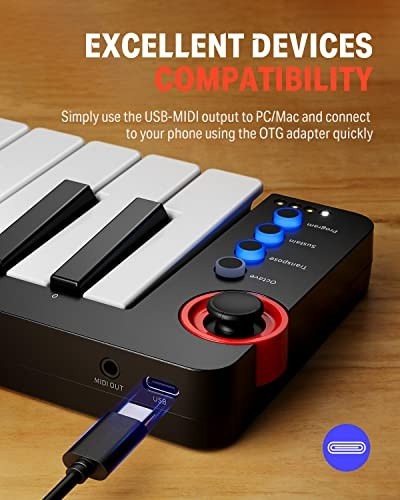 25-Key MIDI Keyboard Controller for Beginners - Velocity-Sensitive Keys & Light-