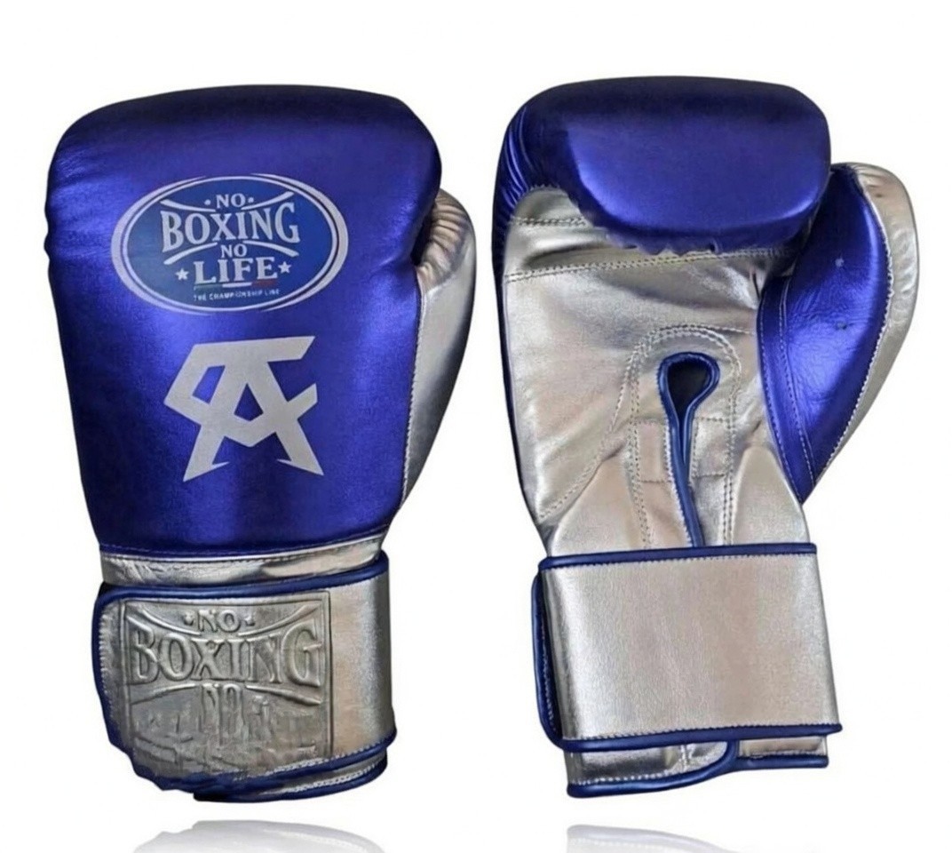 Custom No Boxing No Life Boxing Gloves, Winning boxing gloves, punching bag