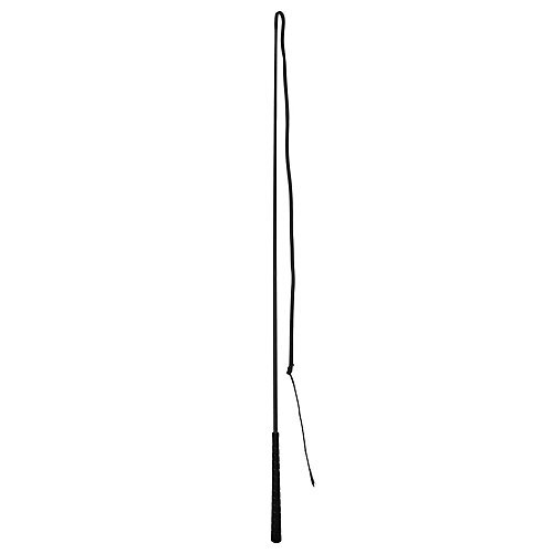 Gatsby Lunge Whip w/48in Drop