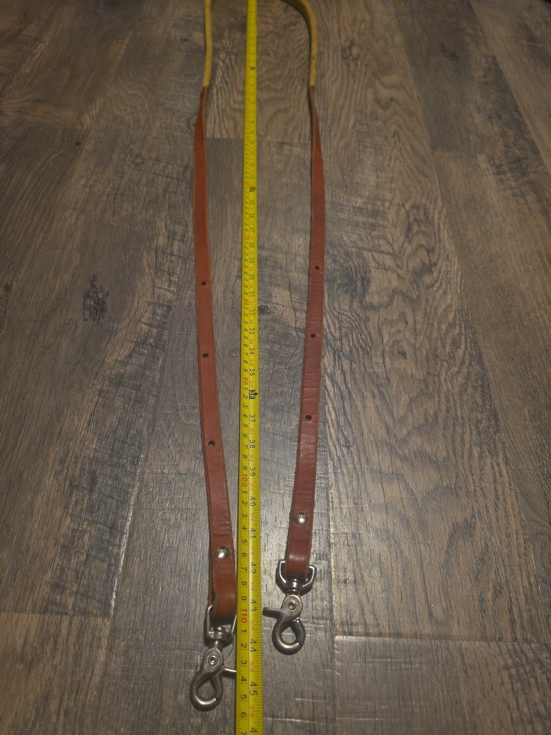 Leather Reins