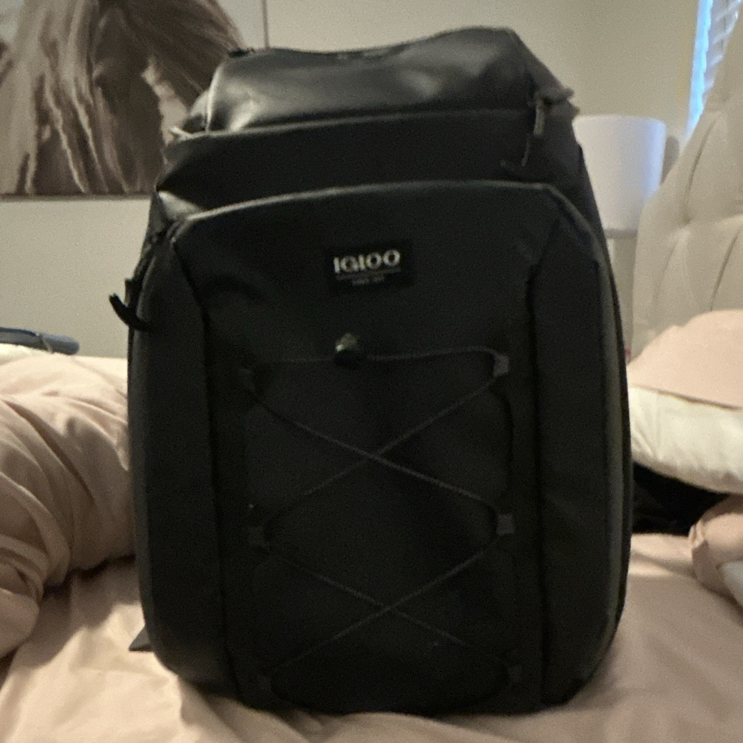 Igloo 16 qt Black Polyester Insulated Cooler Backpack Bag, Adjustable Straps