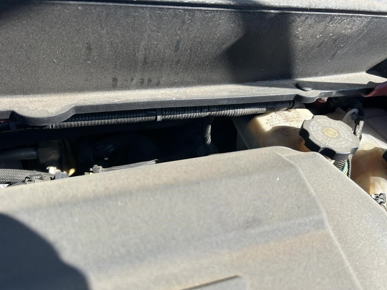SRX 2011 Horn 104916238
