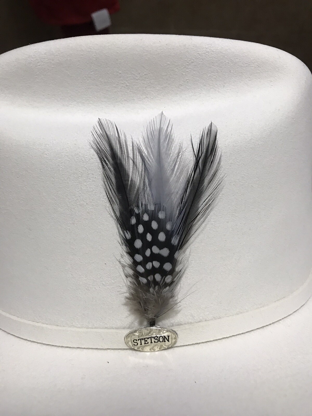 STETSON® “GENUINE” CLASSIC COWBOY HAT FEATHER