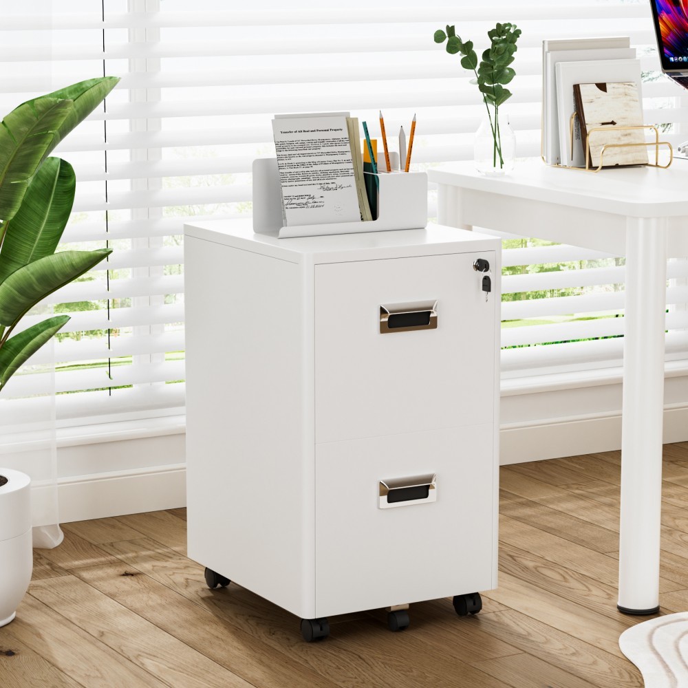 2 Drawer Mobile File Cabinet Locking Metal Rolling Storage for Letter Legal A4