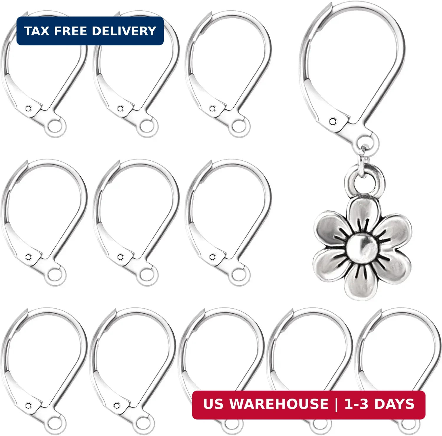 12 Pcs Leverback Earring Hooks, Stainless Steel Clasp Hoop, Hypoallergenic Dangl