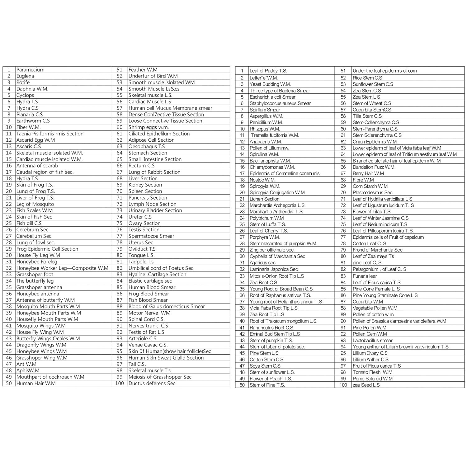 200 Microscope Slides Set with Labels