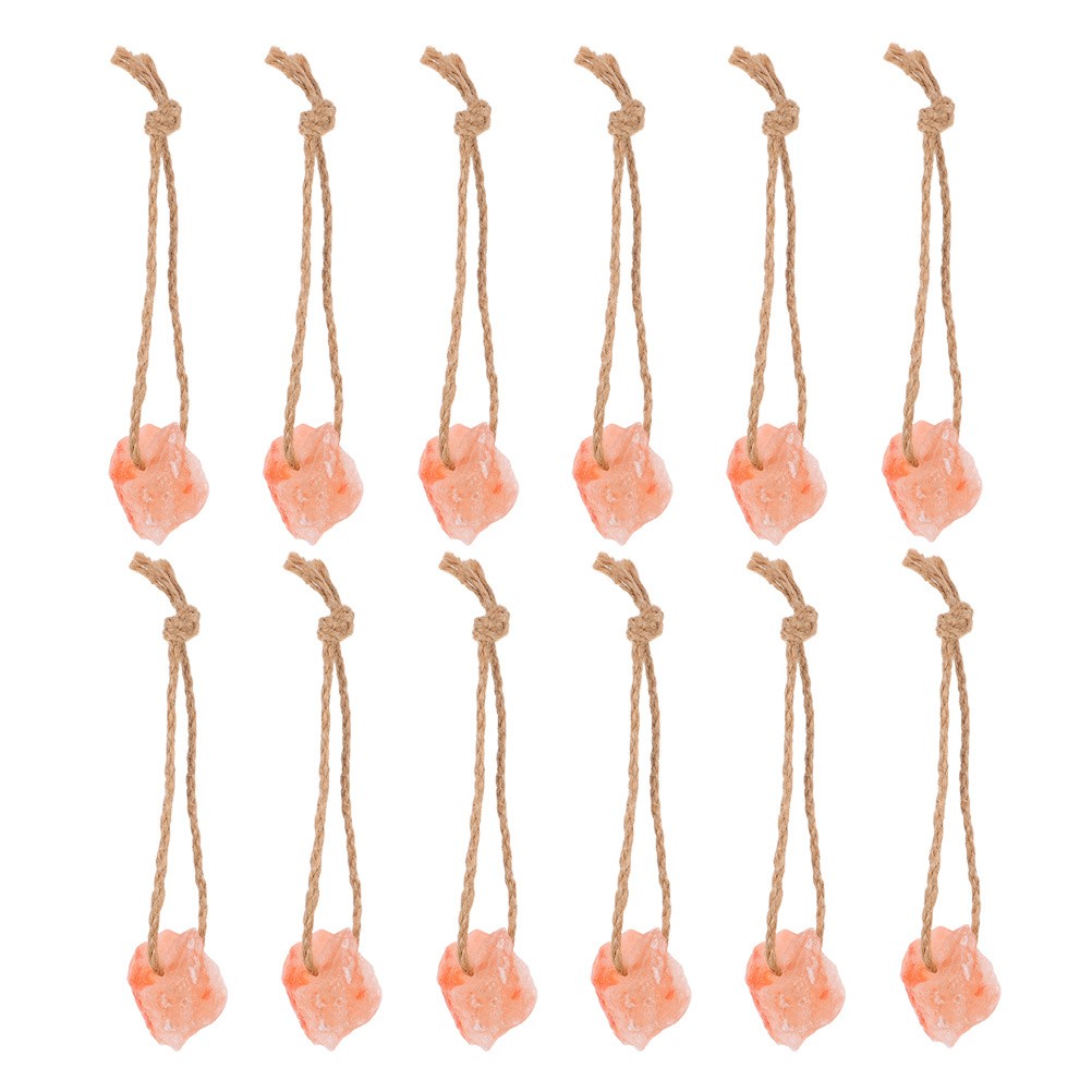 12pcs Natural Mineral Salt Blocks Livestock Salt Lick Chew Toys with Hanging