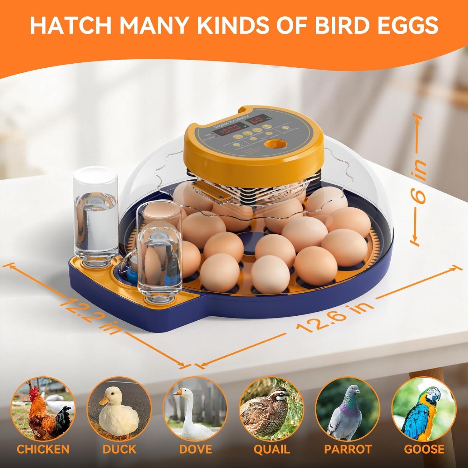 18 Egg Incubator for Hatching Eggs, Chicken Incubator with Automatic Turner,