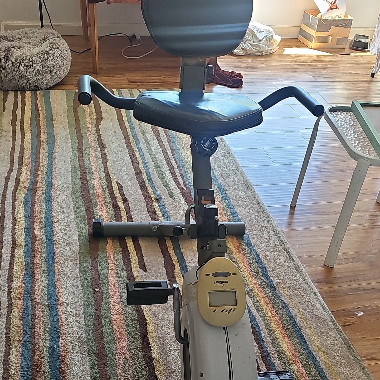 Stamina InTone Recumbent Exercise Bike Adjustable Seat LCD Display