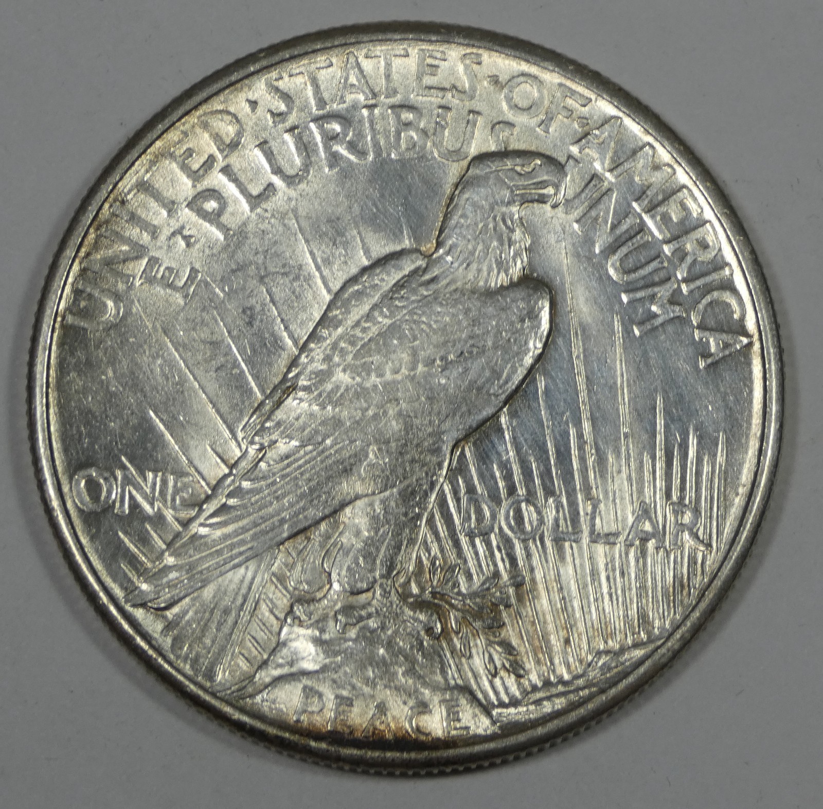 BARGAIN 1921 Peace Dollar UNC Silver Dollar