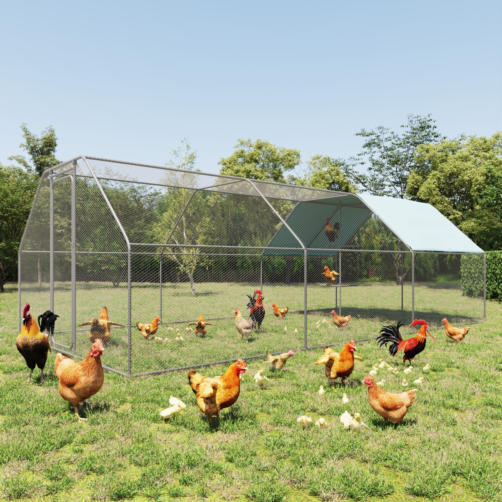 20x10 ft Metal Coop Cage Chicken Run Backyard Hen House Poultry Habitat Cage