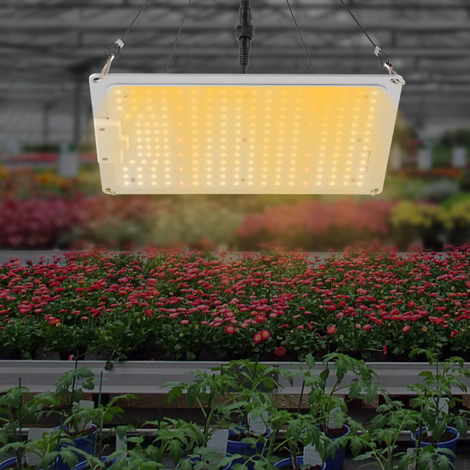 Dimming LED Grow Light Full Spectrum 3000/5000K 660/760nm For Indoor Plant 110W