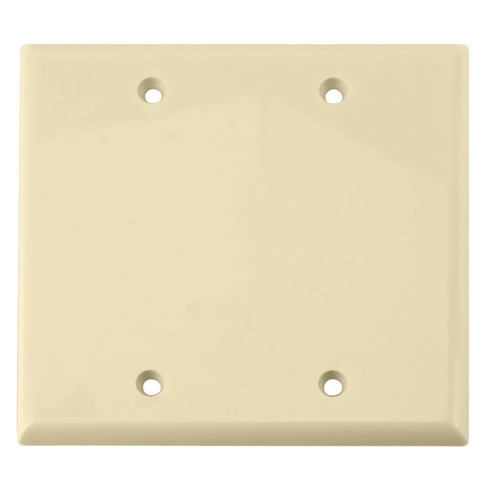 Skywalker Signature Series Dual Gang Blank Wall Plate (Ivory)