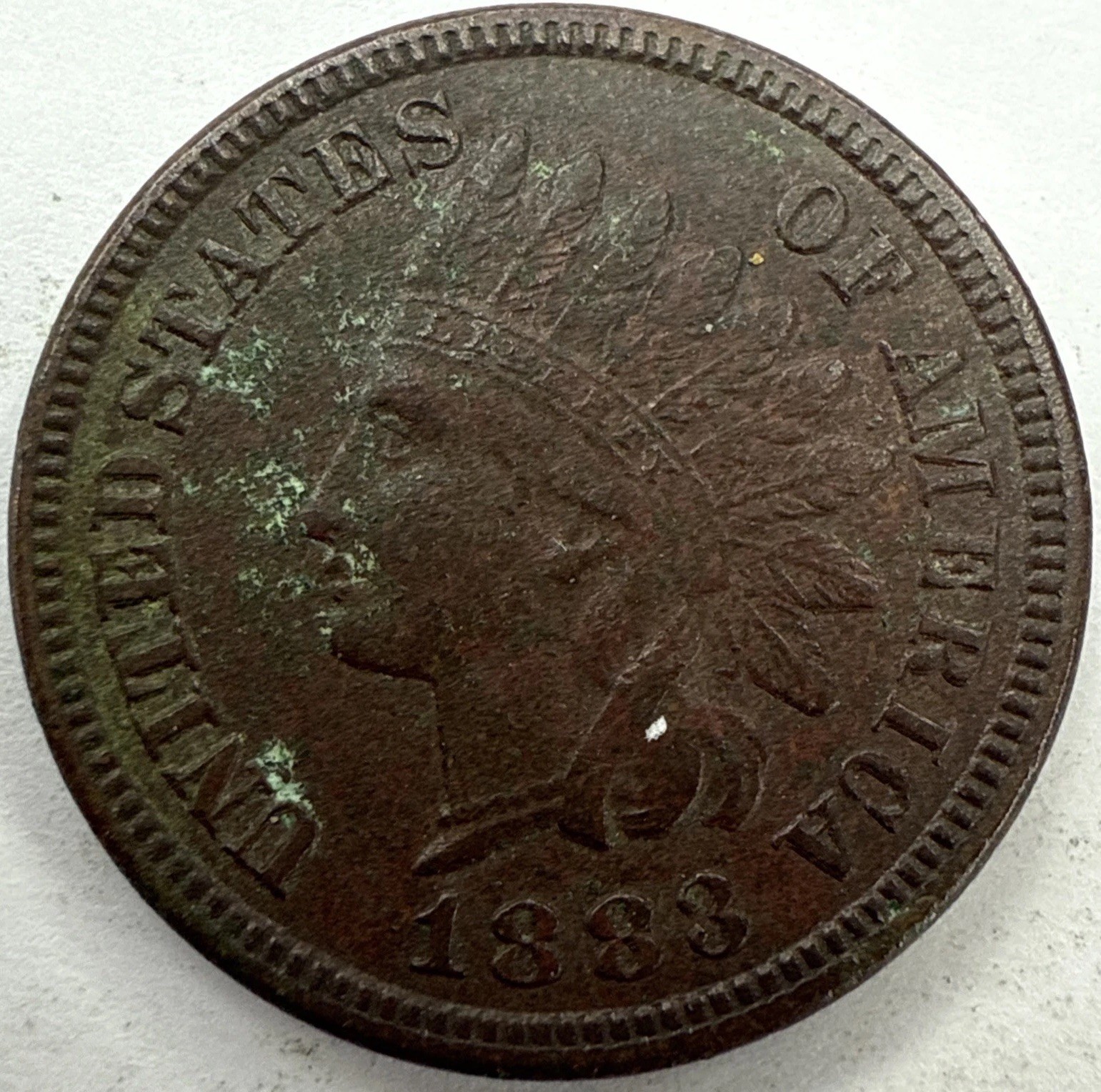 1883 Indian Head Cent Exact Coin Imaged #IND2219