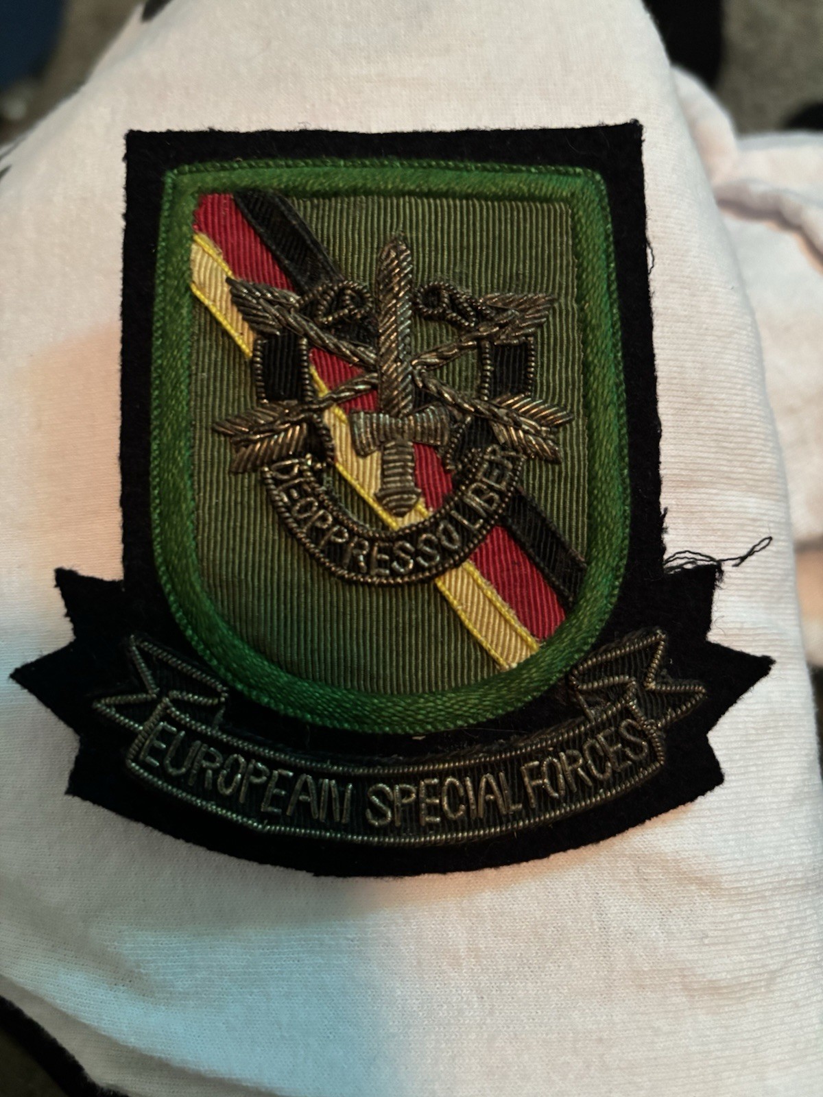 Special Forces Training Group Bullion Patch Blazer Display Vietnam Era ?