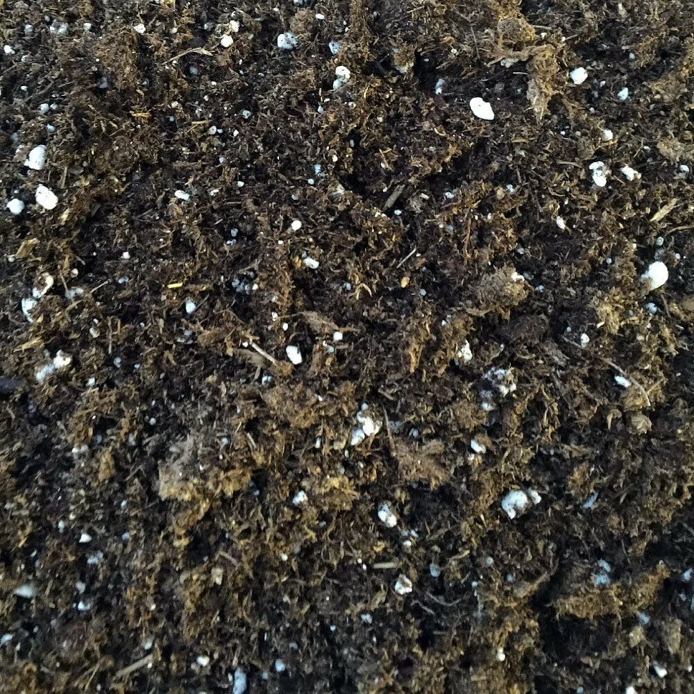 All Natural General Purpose Potting Soil loamy Mix - 8 Quart Houseplants