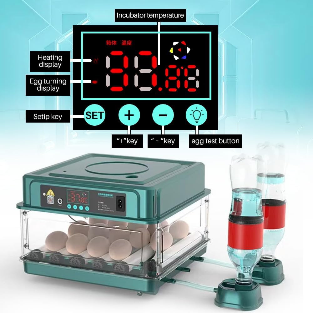 Automatic Egg Incubator 12-38 Egg Digital Poultry Hatcher Machine Ith Automatic