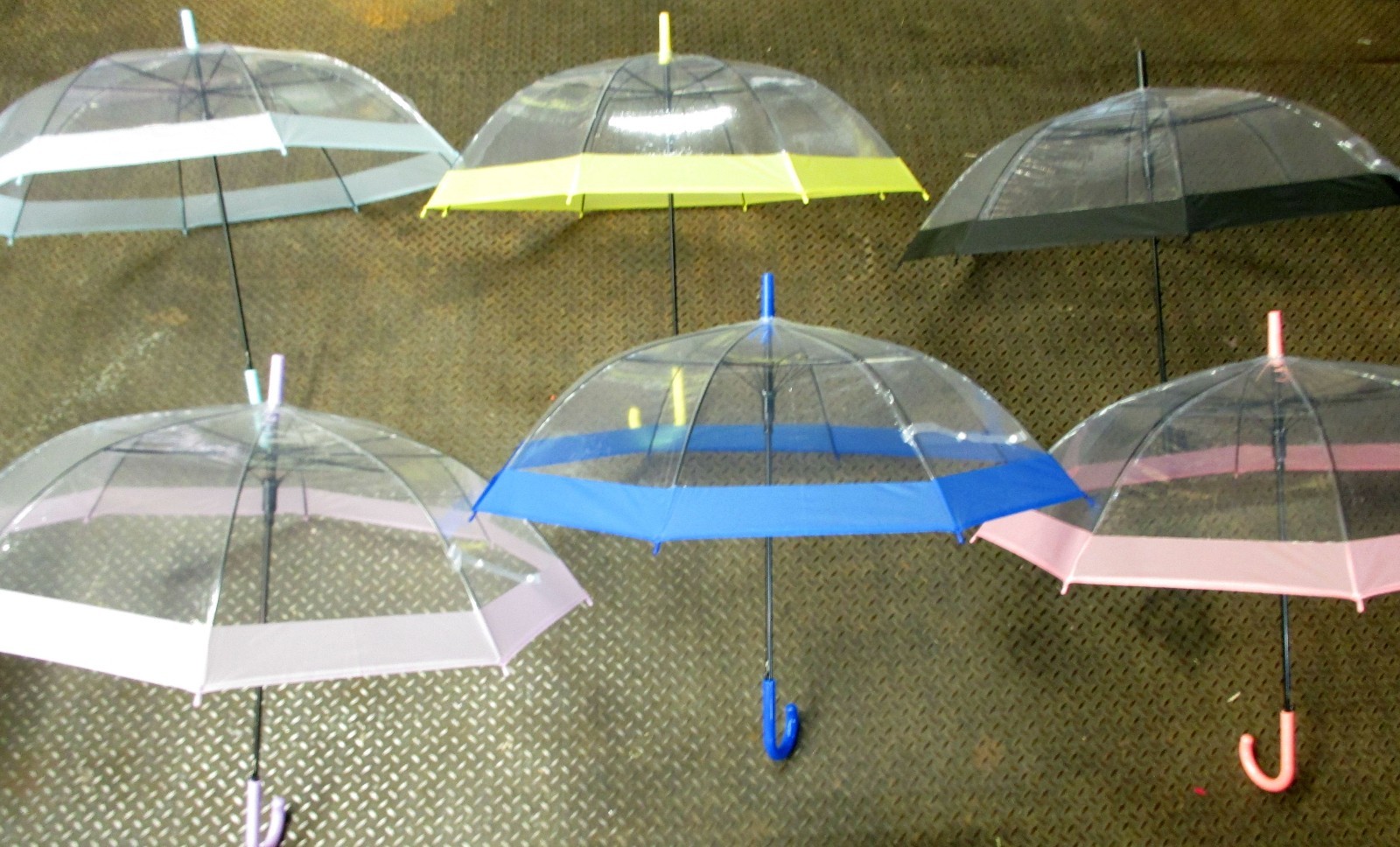 32" LONG CLEAR SEE THROUGH UMBRELLAS. AUTO OPEN COLOR TRIMMED
