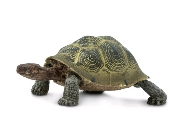 Desert Tortoise Wild Safari Animal Figure Safari Ltd NEW Toys Educational