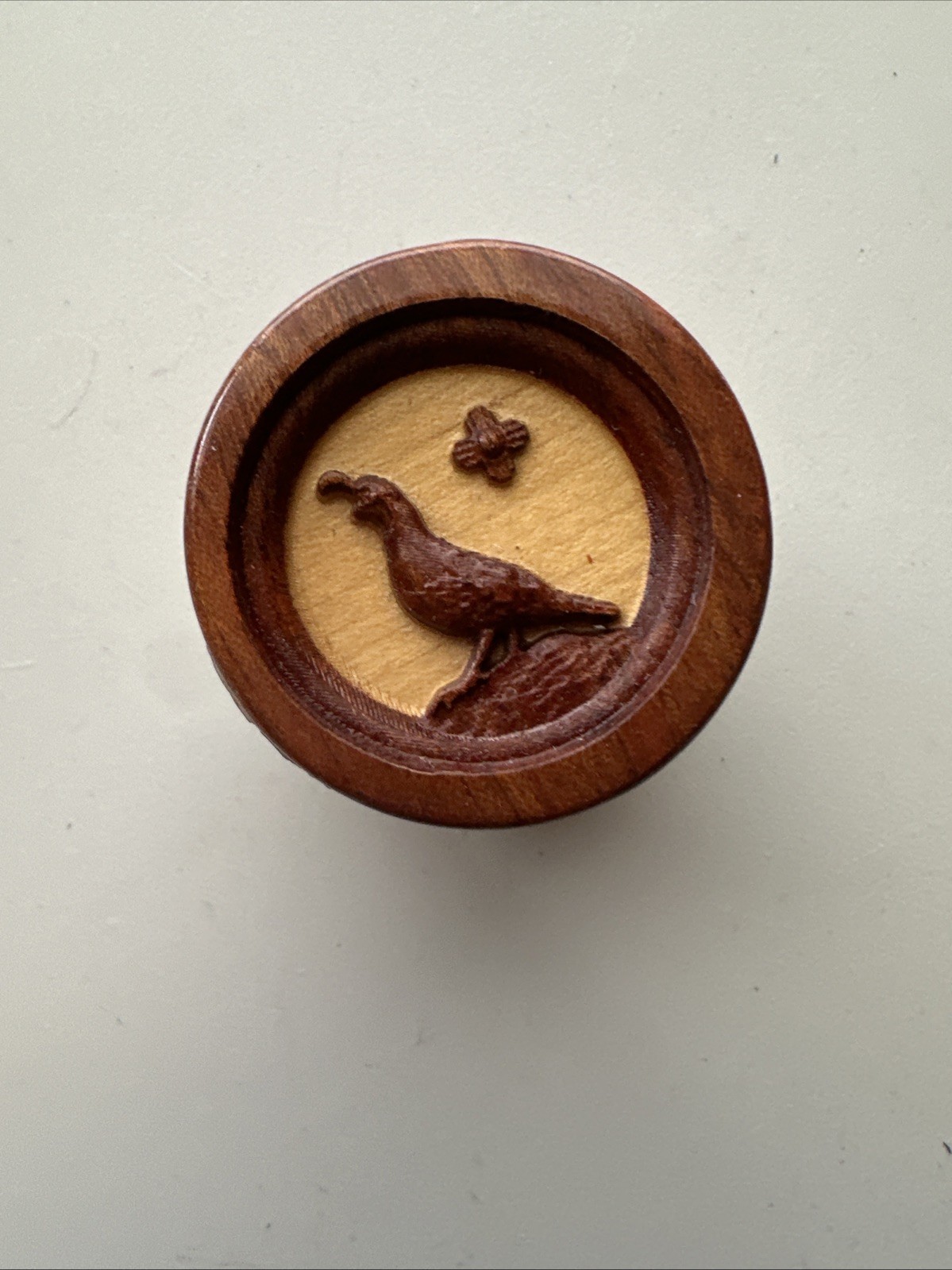 Spirit Box Quail