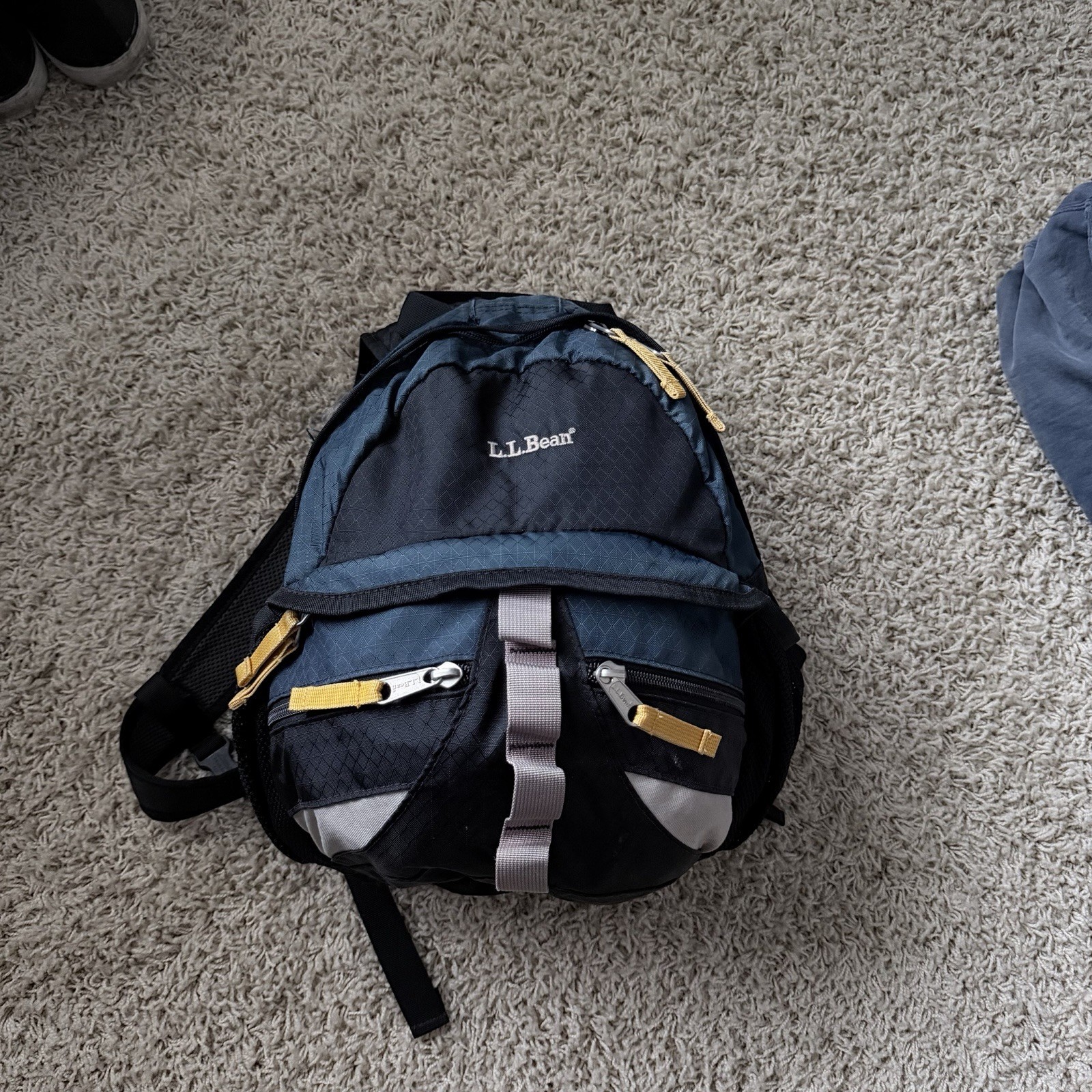 Vintage L.L. Bean Hiking Backpack Outdoor Pack Adjustable Straps 90s