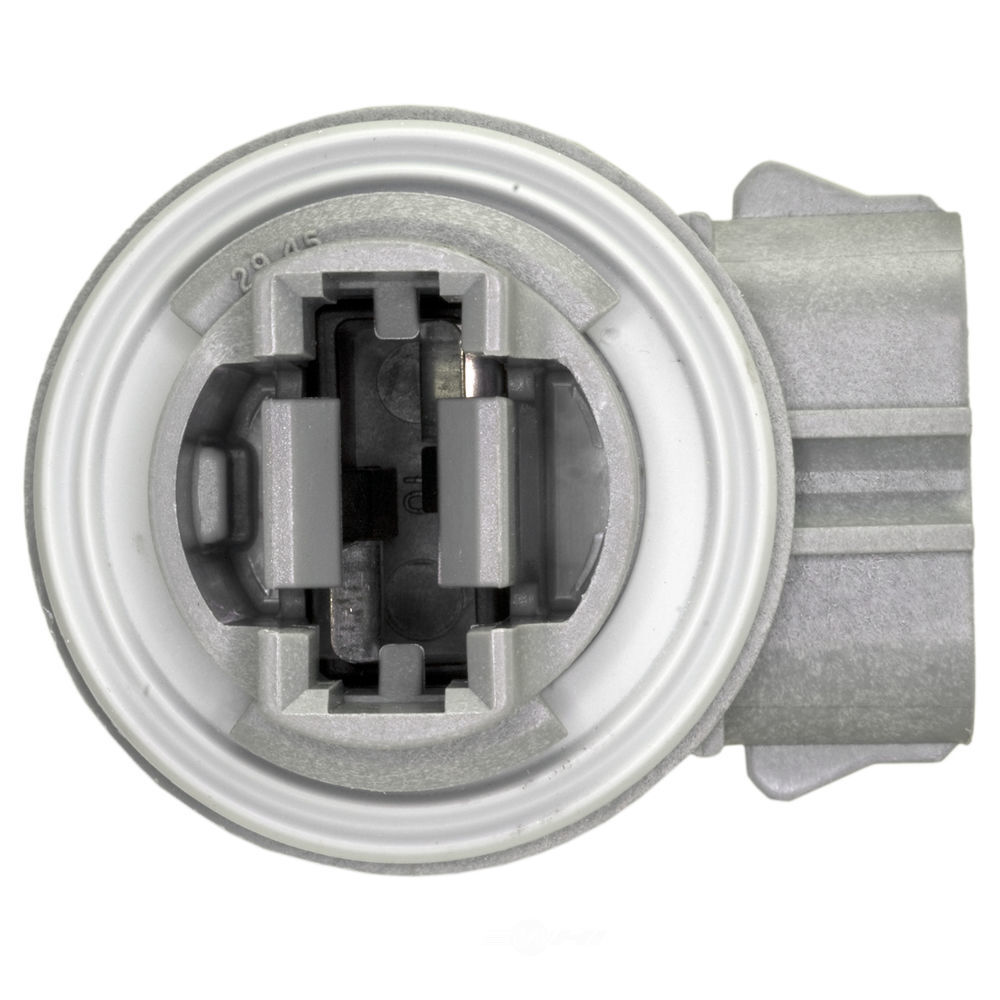 Combination Light Socket-Back Up Light Socket WVE 1P1329