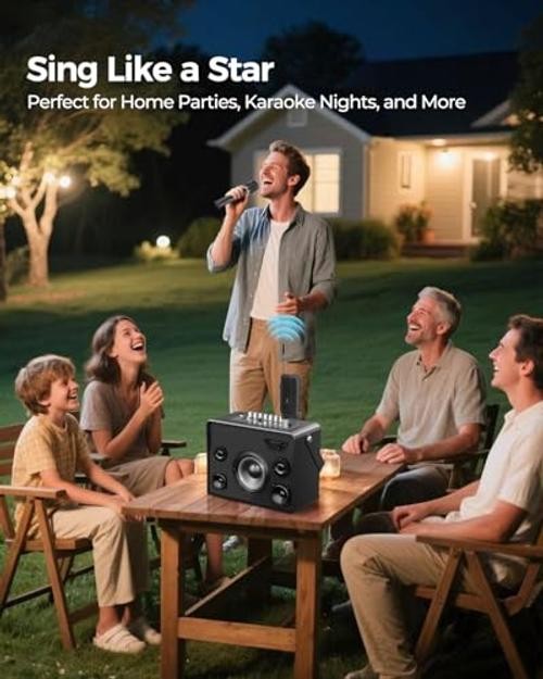 Wireless Microphones, 5-level Volume Adjustment, Dual Handheld Dynamic Mic