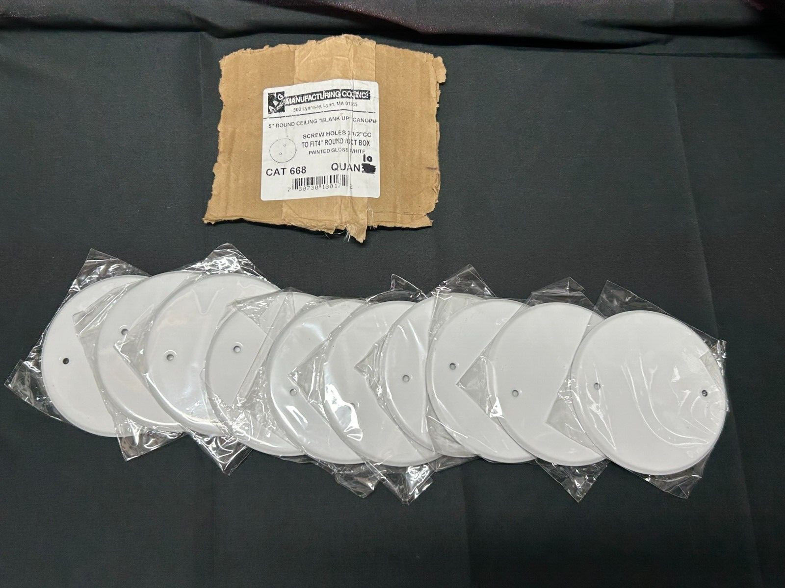 A&G Manufacturing Co. 5 Inch Round Blank White Cover Plates (10 Pack)