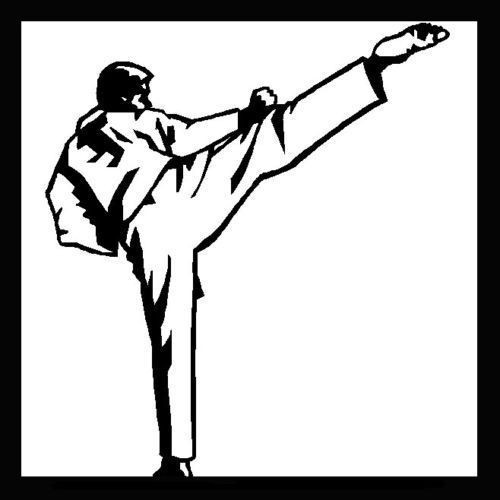 Basic Kyokushin Style Karate Training Martial Arts Instructional - DVD
