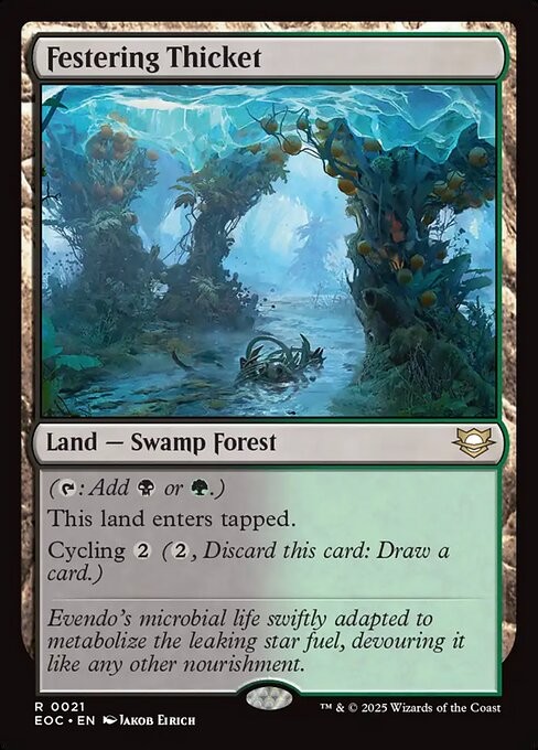 Festering Thicket 21 R Normal EOC MTG NM