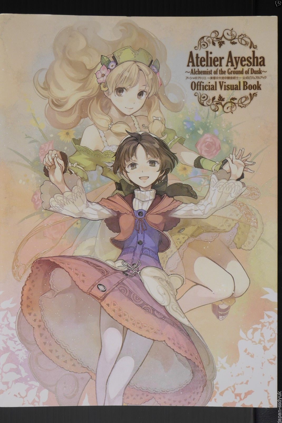 JAPAN Atelier Ayesha: The Alchemist of Dusk Official Visual Book (Art Book)