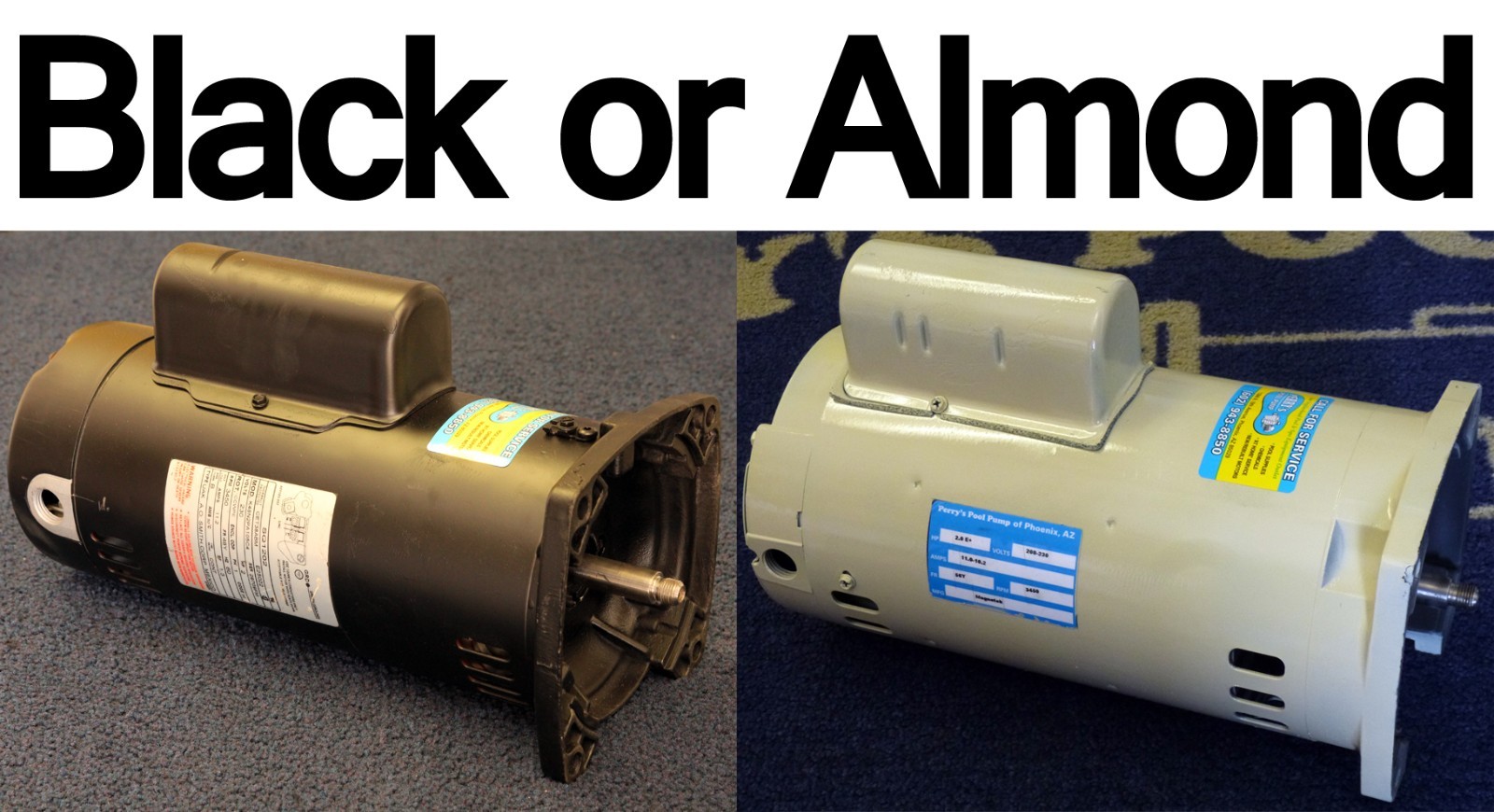 2 Hp Square Flange Pool Pump Motor 1 Year Warranty 2.0 HP