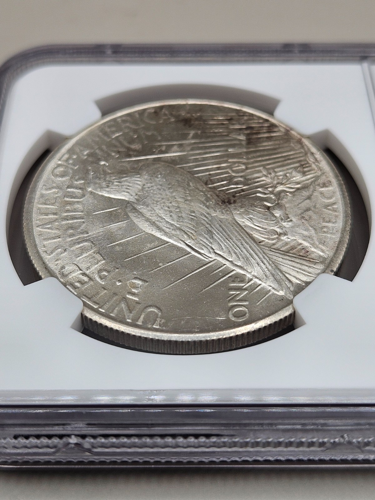 1925 Peace Silver Dollar NGC MS 64