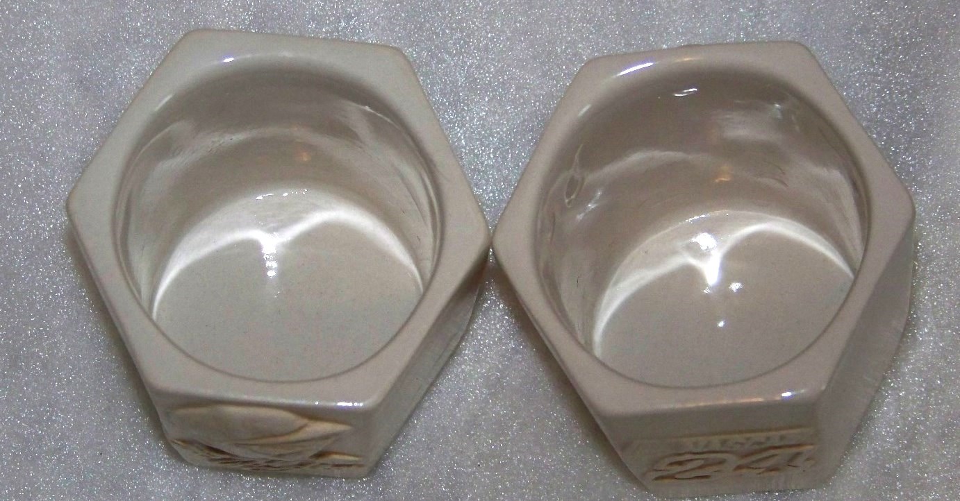 #24 Jeff Gordon Shot Glasses (2)