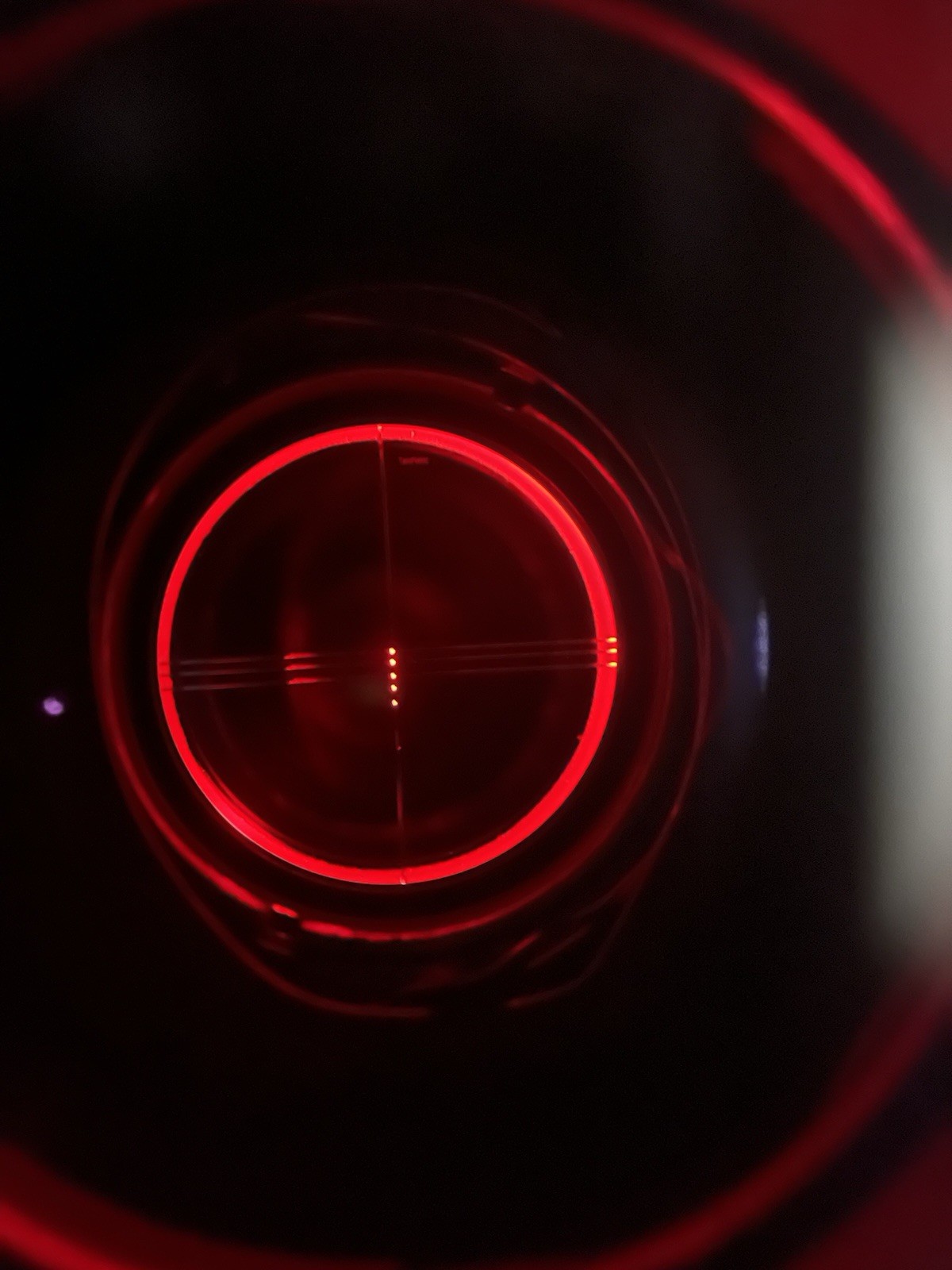 Ten Point Illuminated Crossbow Scope