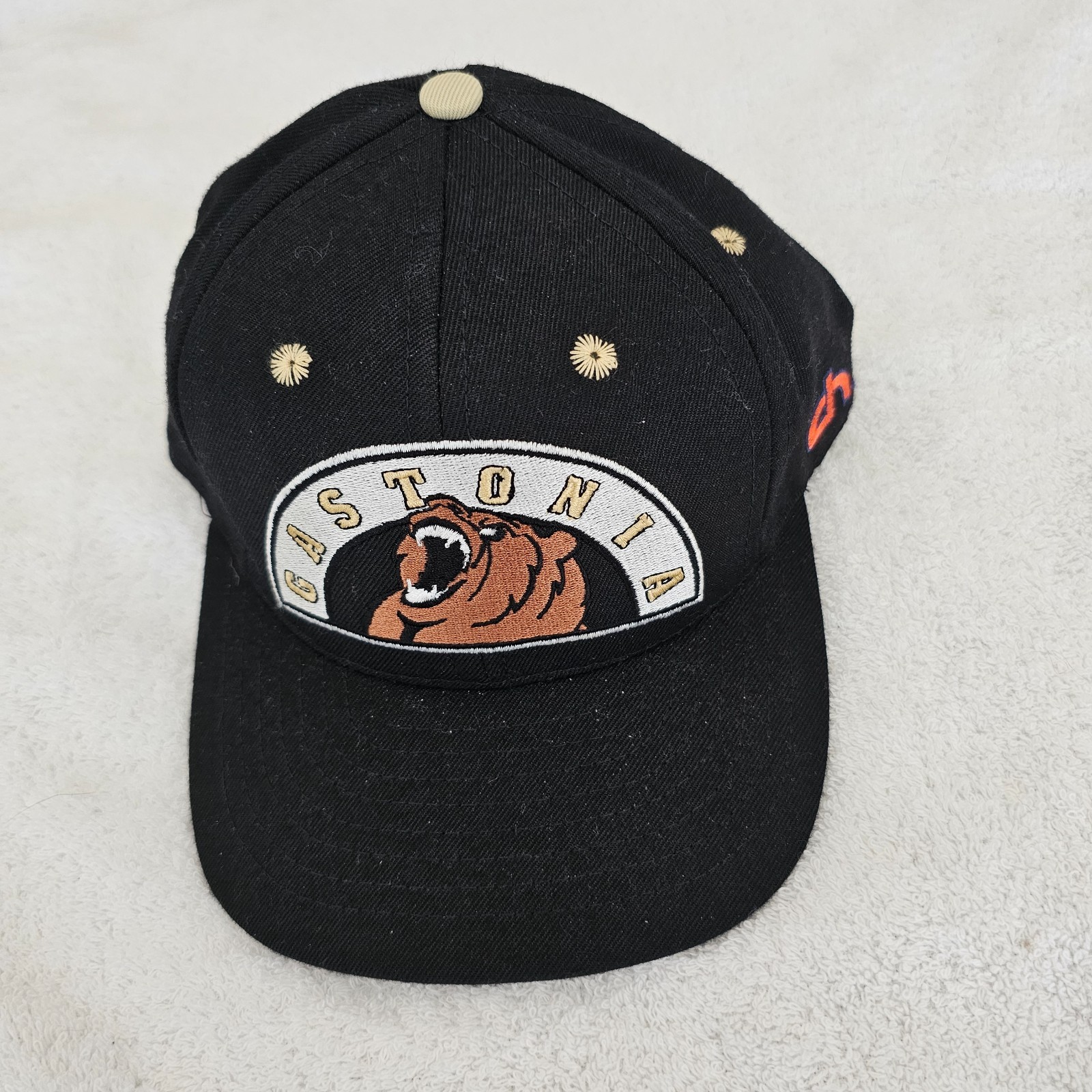 NWOT GASTONIA GRIZZLIES MINOR LEAGUE BASEBALL TEAM CAP HAT SNAPBACK SIZE S/M