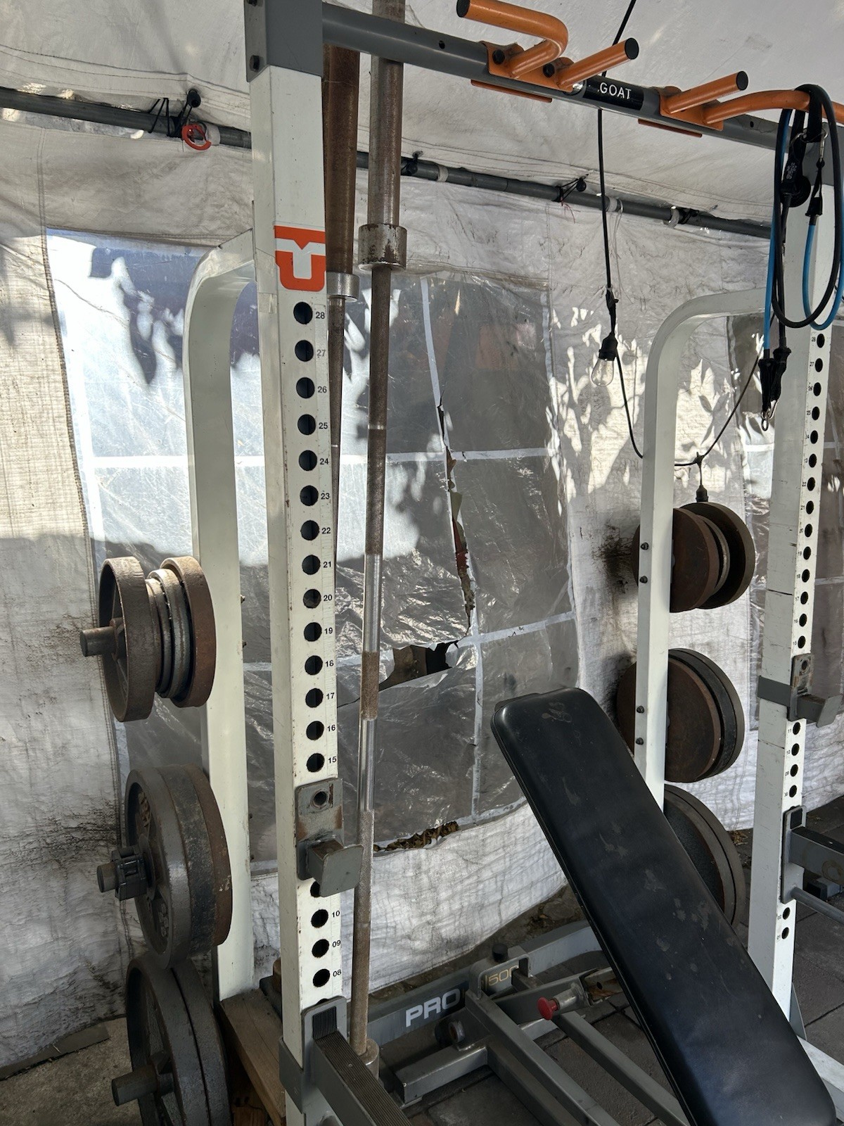 Rack Squat Pro|500