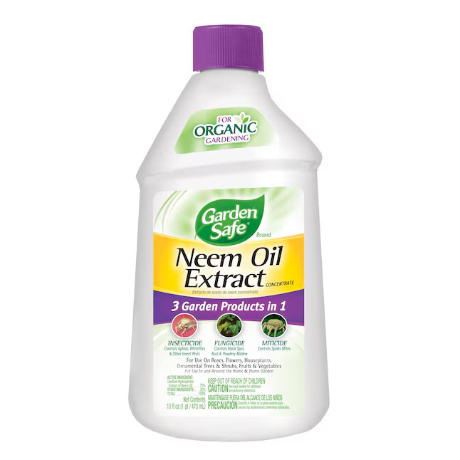 Garden Safe Neem Oil Extract 10.0 -fl oz Concentrate Garden insect killer