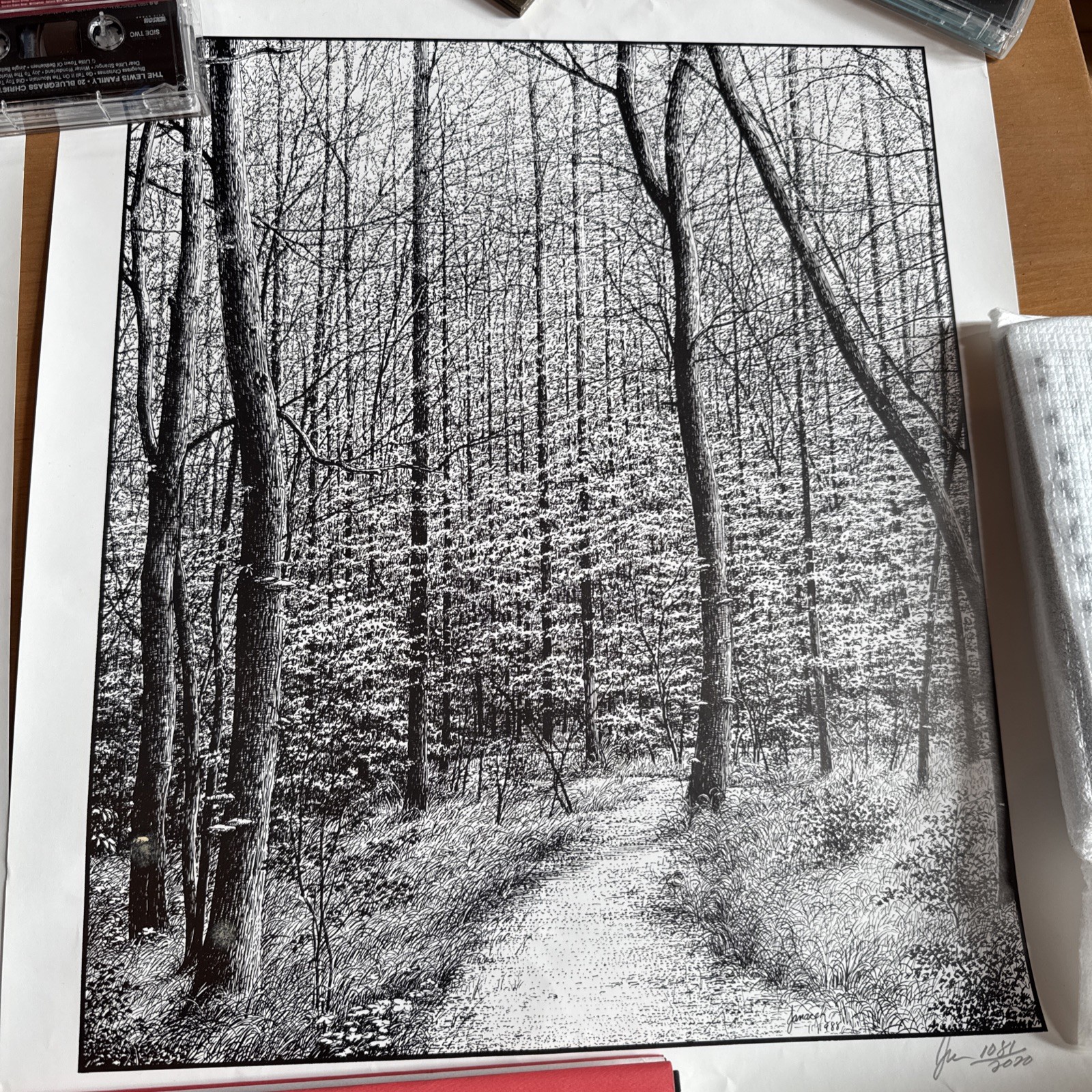 Drawings by Janacek
