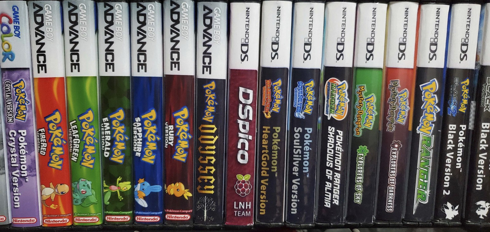 DS pico LNH team custom cover and case