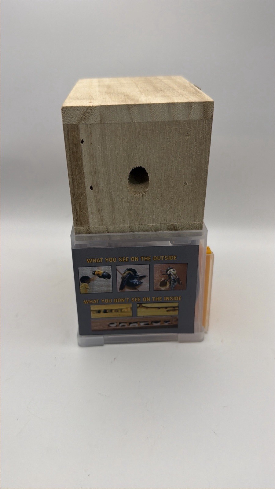BEES N THINGS Carpenter Bee Trap NEW