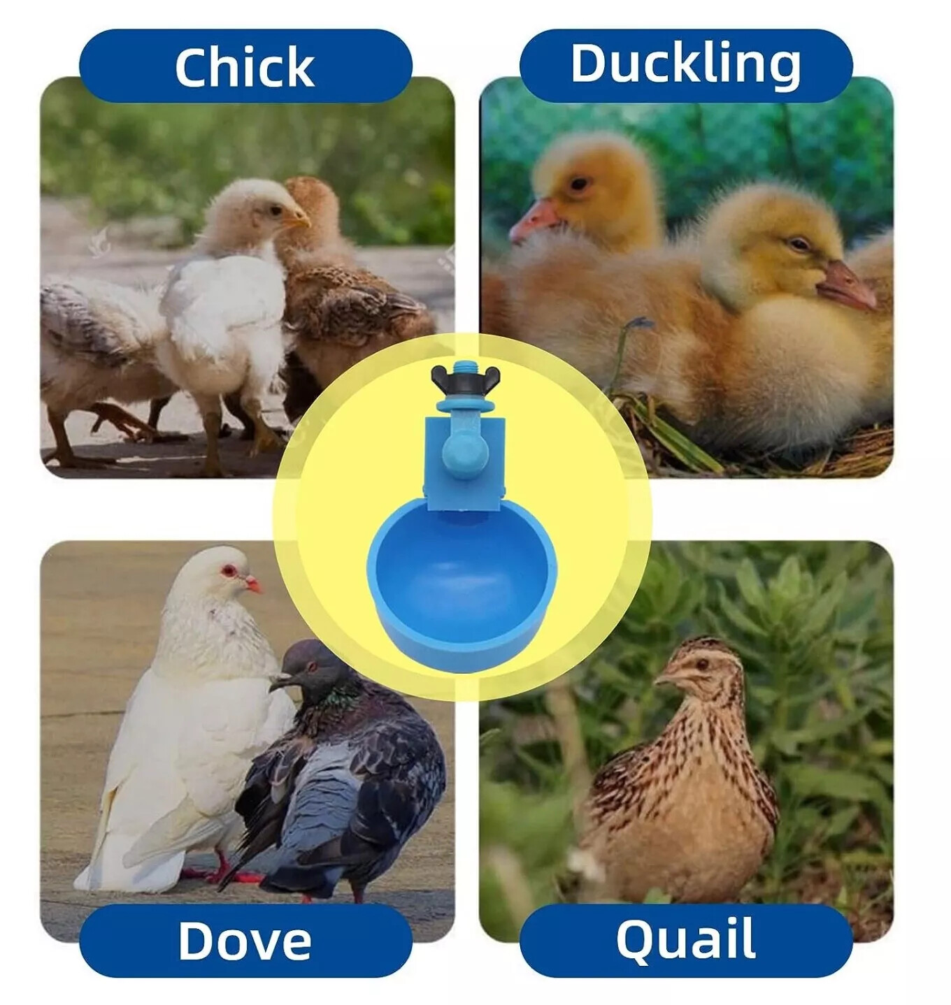 12Pcs Automatic Water Cups Poultry Drinker Waterer Chicken Duck Quail Drinking
