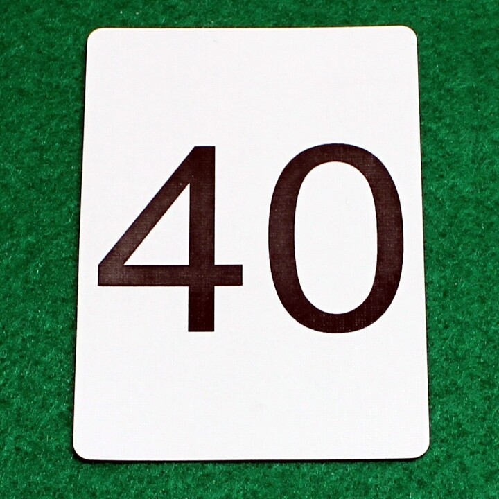 Number 40, Bicycle Printed Gaff Card, Blue